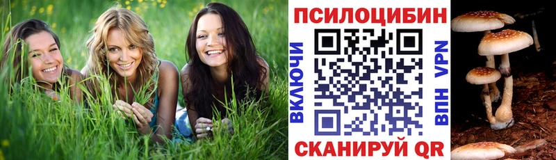 Галлюциногенные грибы MAGIC MUSHROOMS  Камышин 